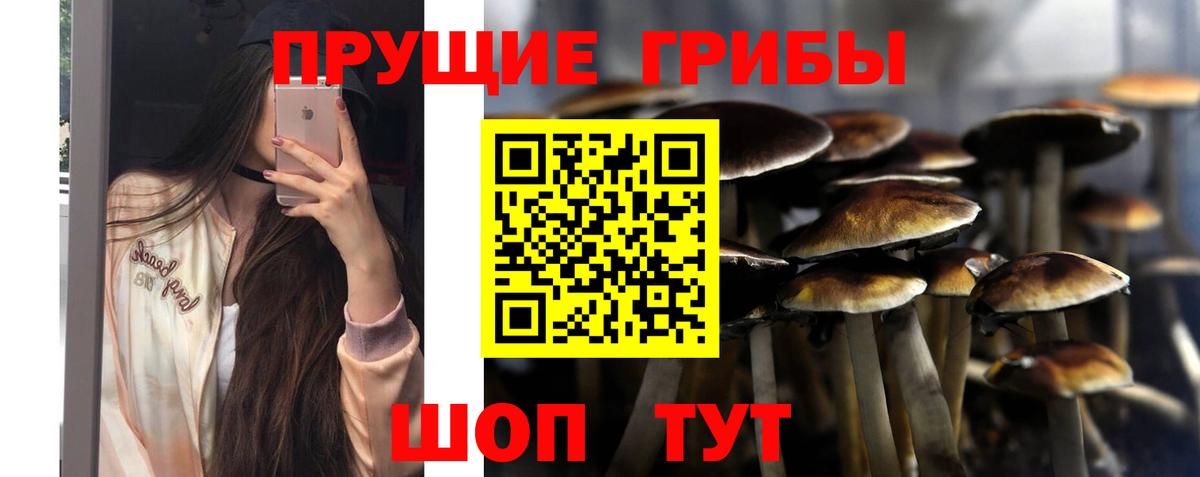 Галлюциногенные грибы мицелий  Псилоцибиновые грибы MAGIC MUSHROOMS  Вход с VPN  Щёлково 